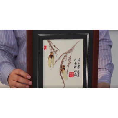 非遗传承丨河北安新：芦苇画公益课助力非遗传承